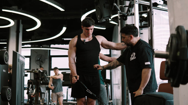 Biblioteca 250+ ejercicios